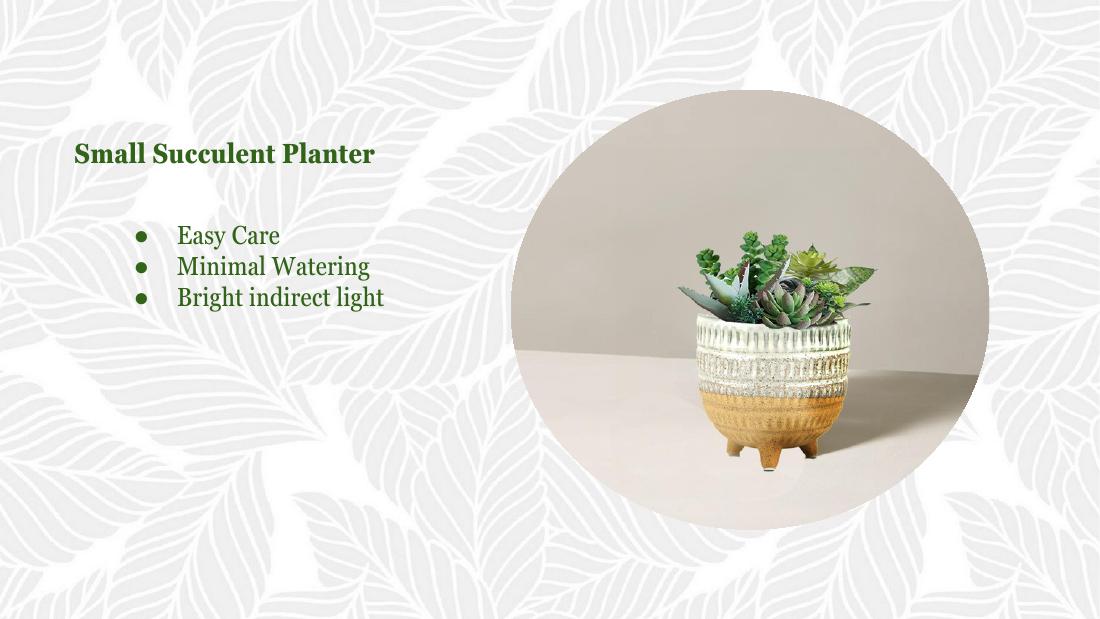 Small succulent planter