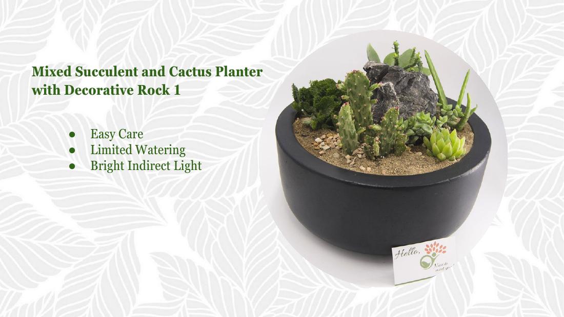 Cactus decorative rock 1