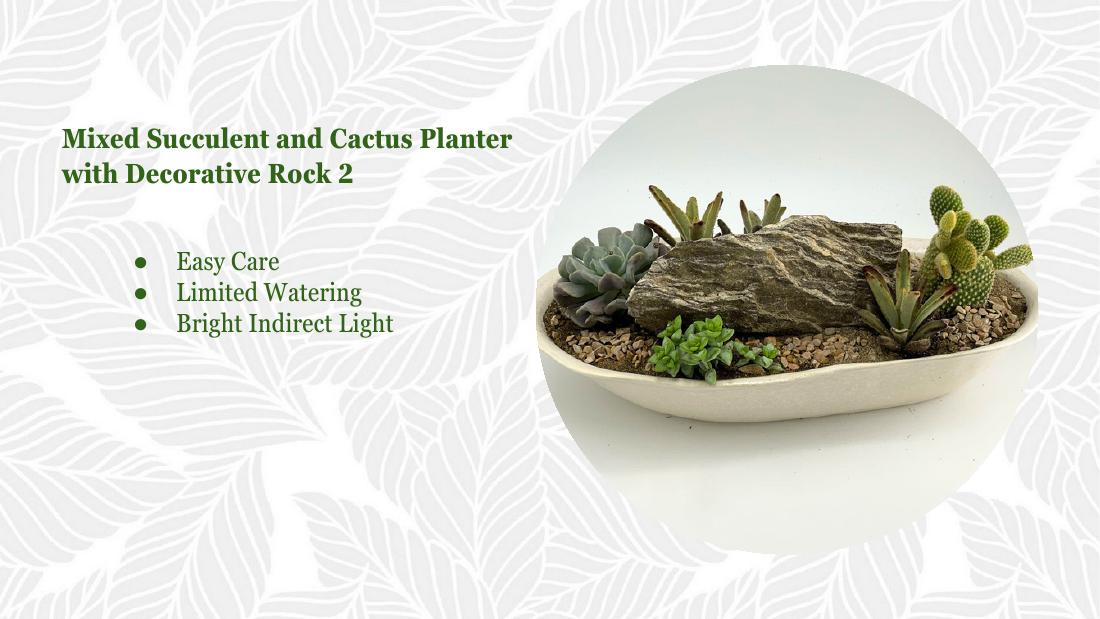 Cactus decorative rock 2
