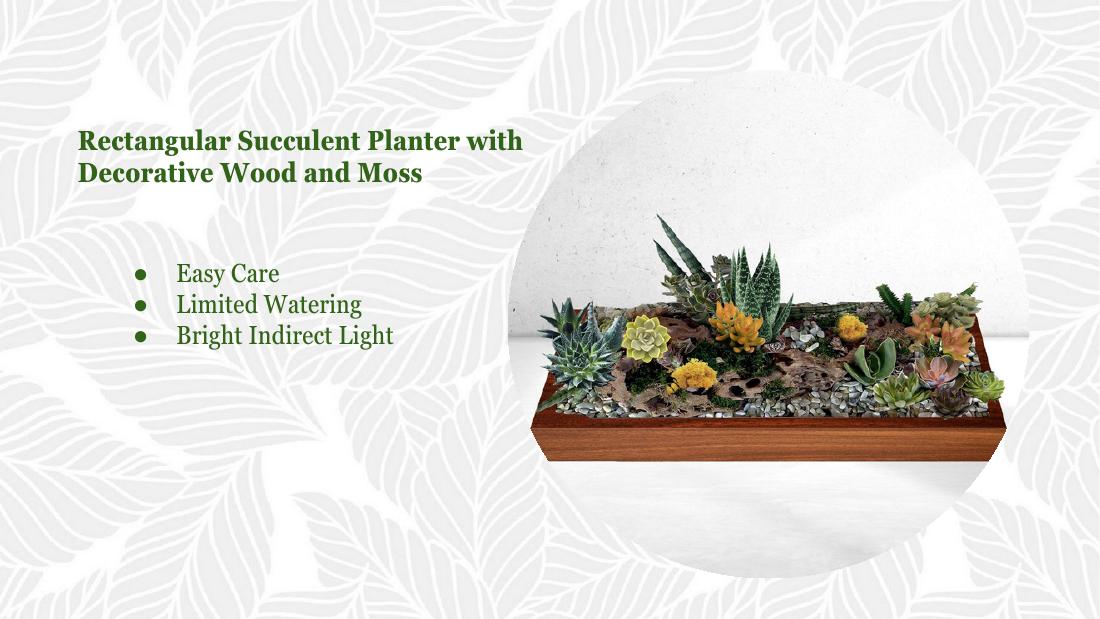 Rectangular succulent custom