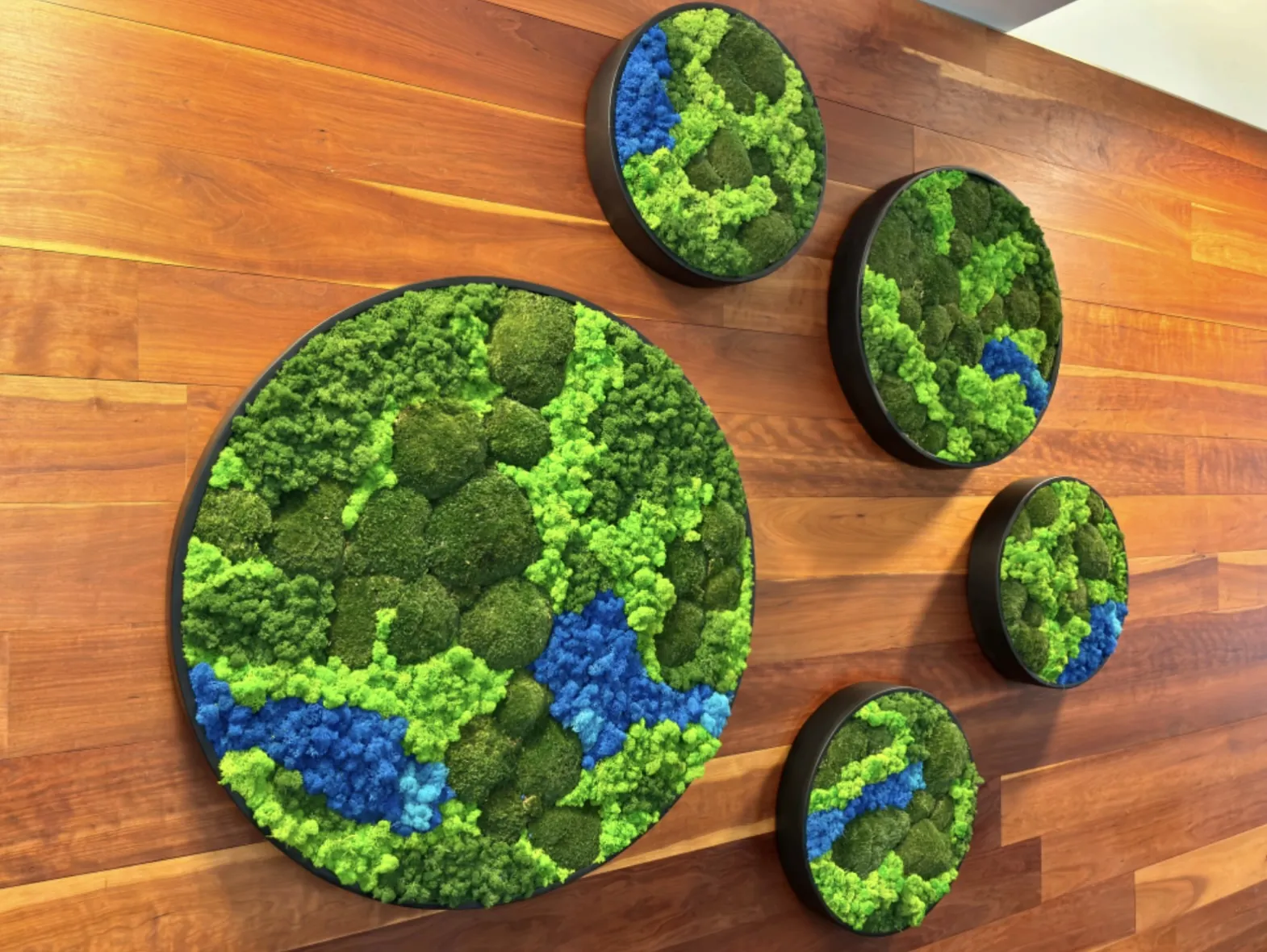 Round moss art pieces on a wood wall