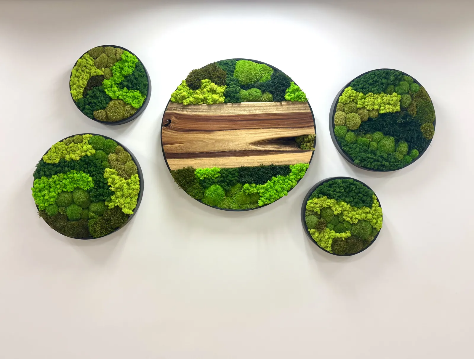 Round moss art pieces with natural wood
