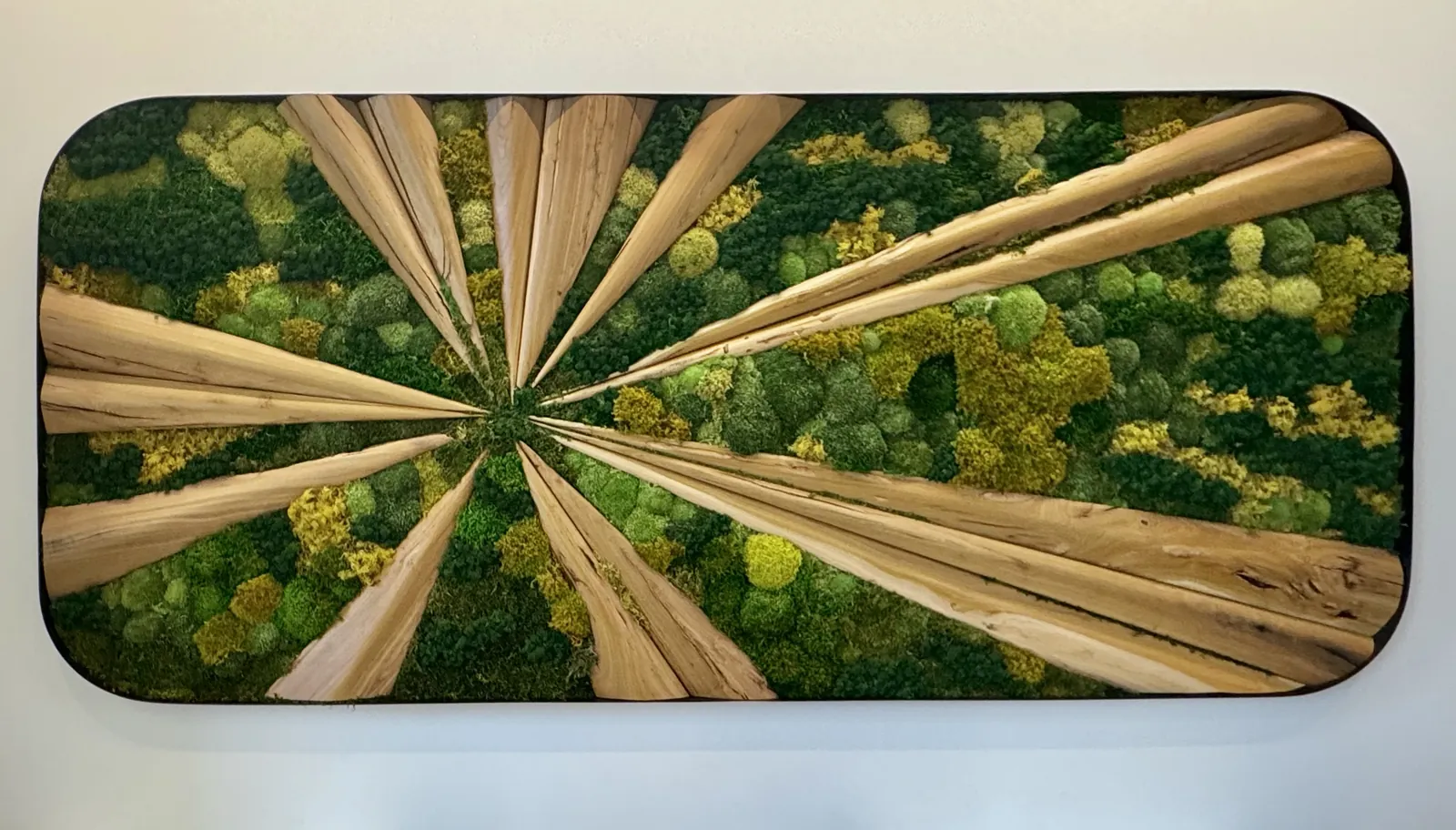 Preserved moss panel with natural wood in a sunburst pattern