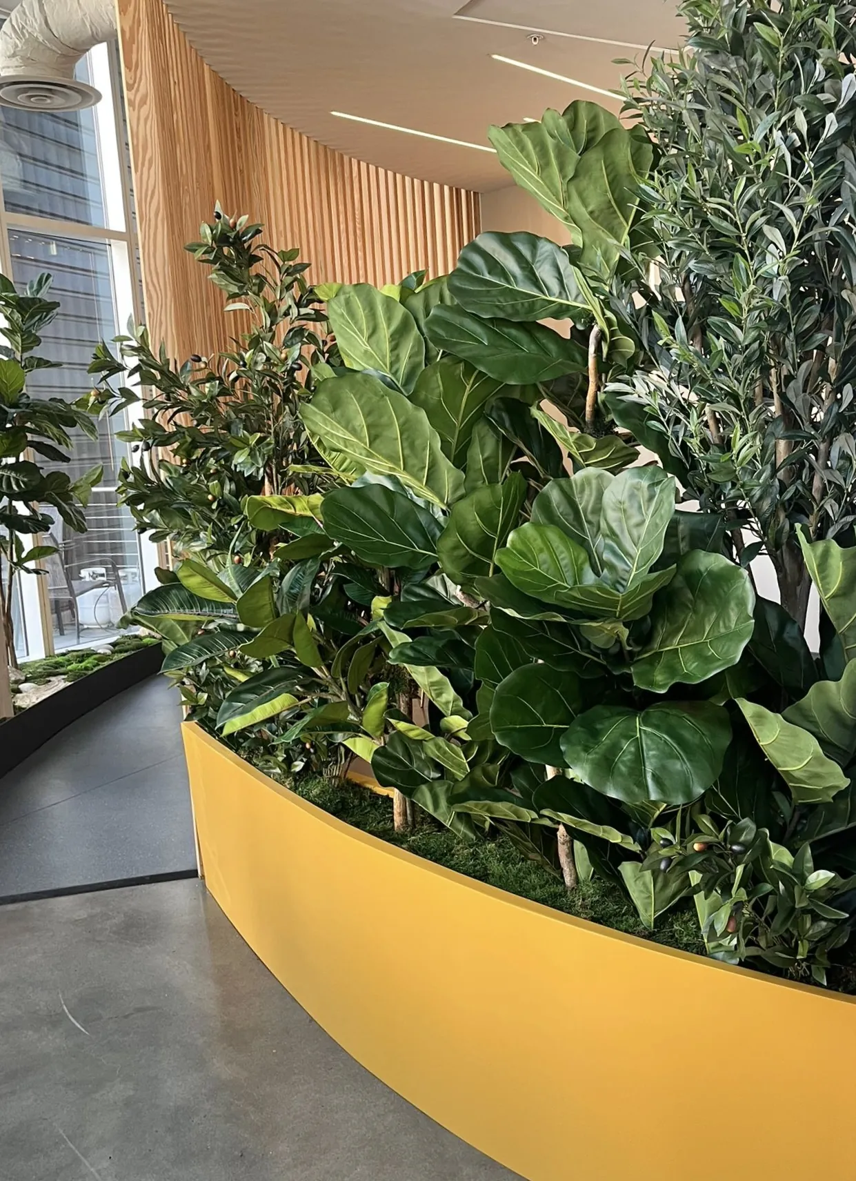 Curved planter with lush greenery
