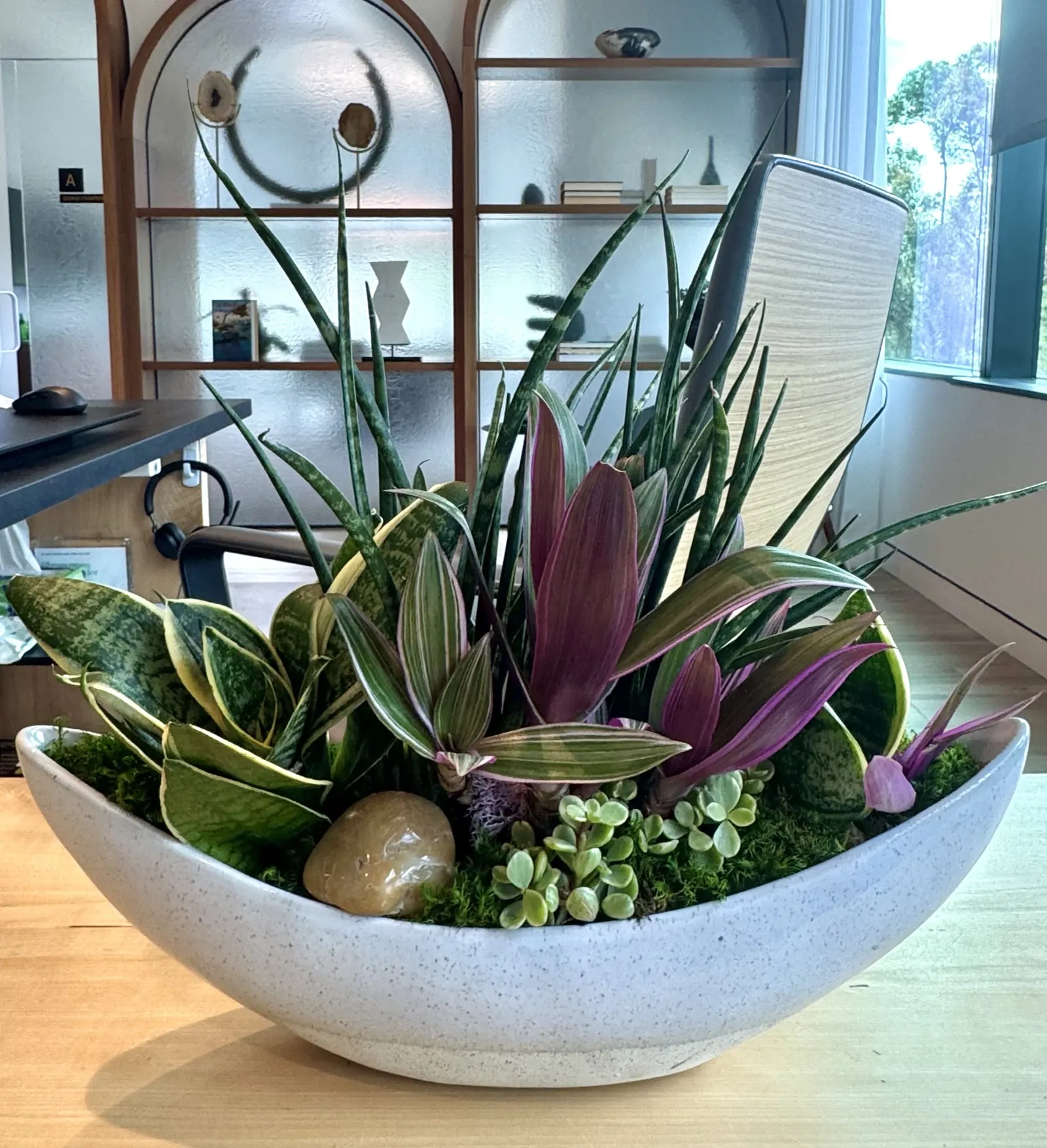 Succulent bowl arrangement