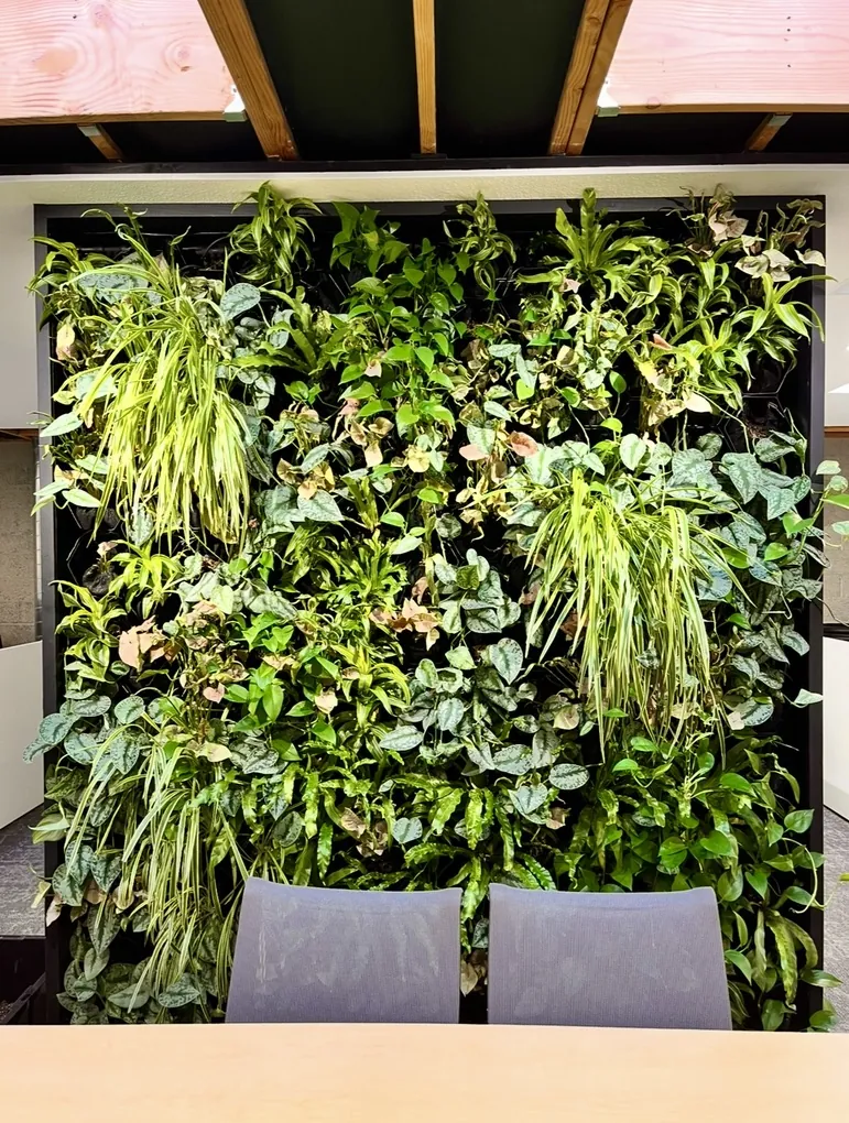 Living green wall