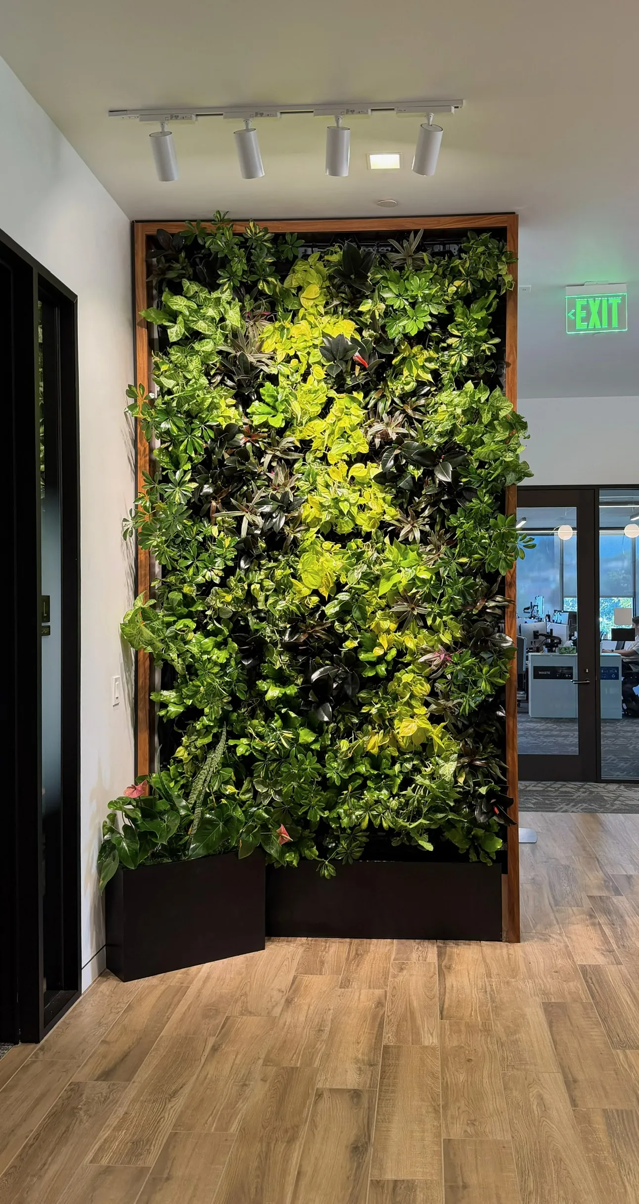 Living green wall by an entry