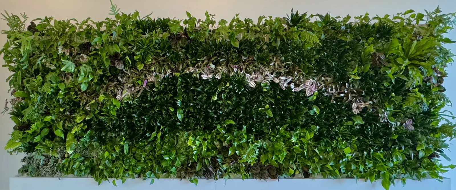 Living wall panel