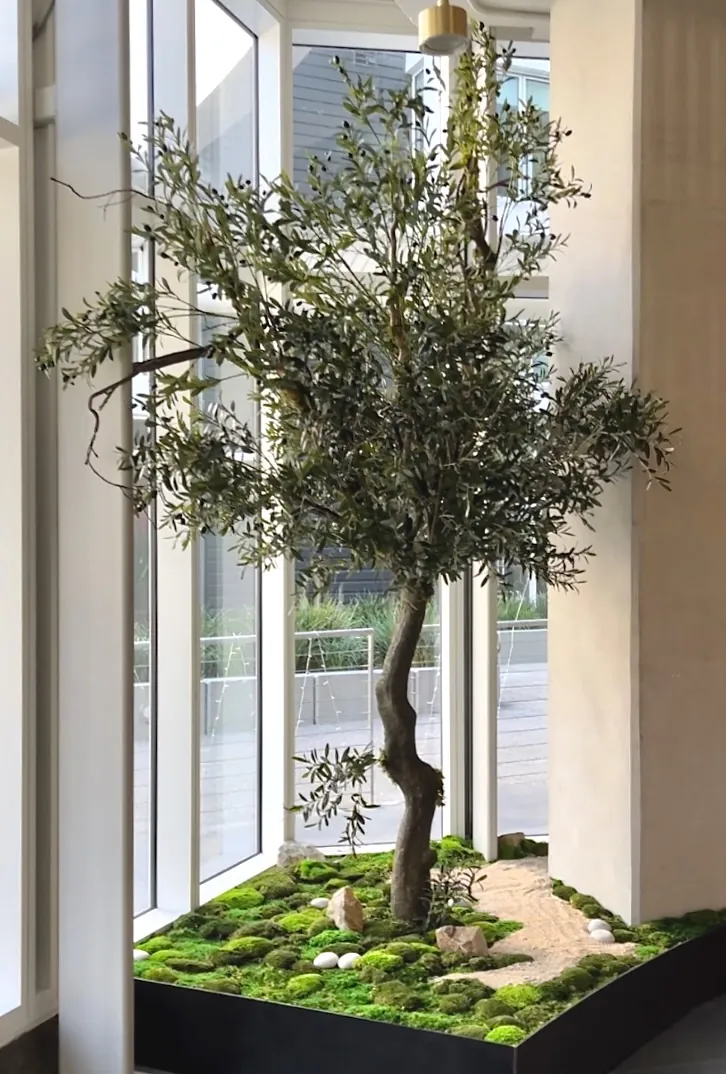 Silk olive tree in a planter