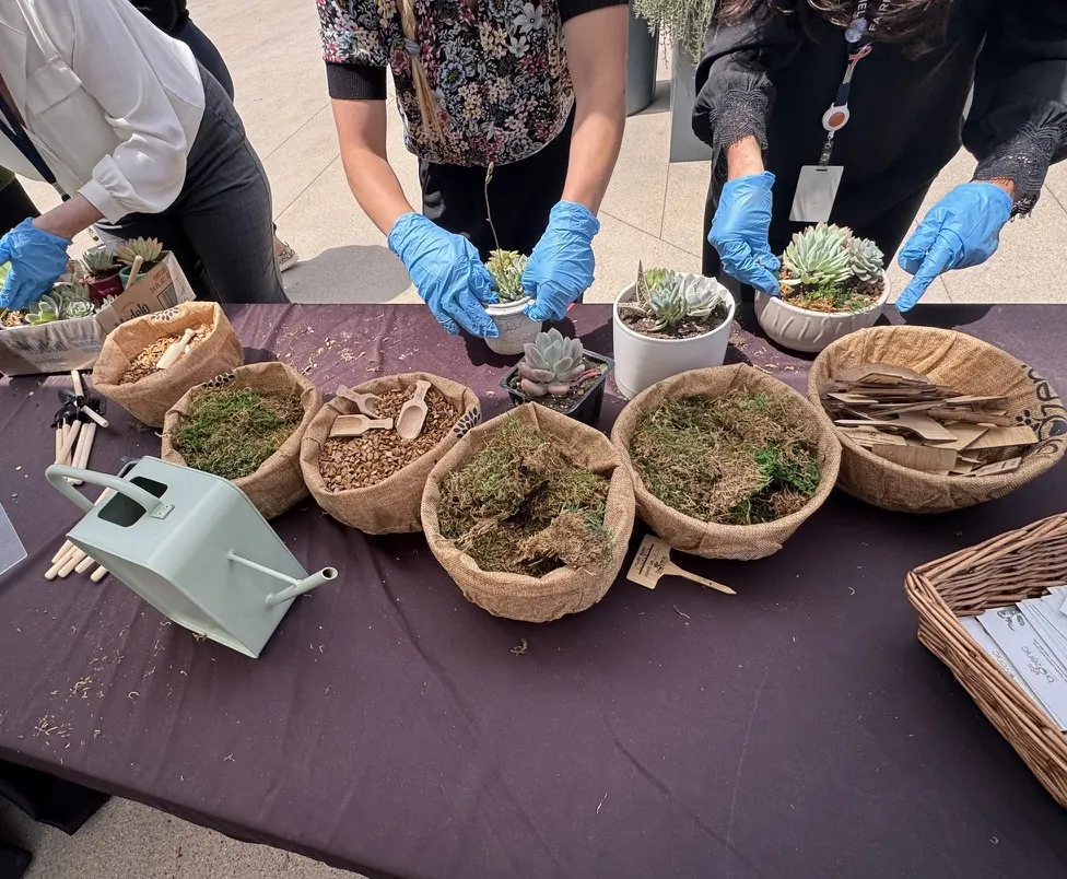 Hands-on potting at a workshop