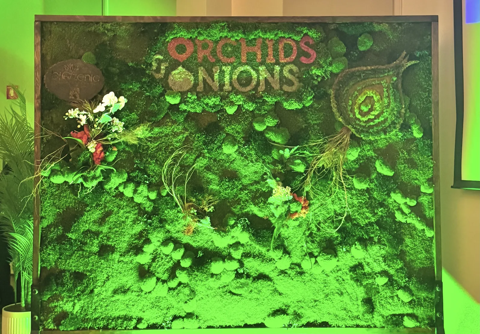 Living moss and plant installation for a design event