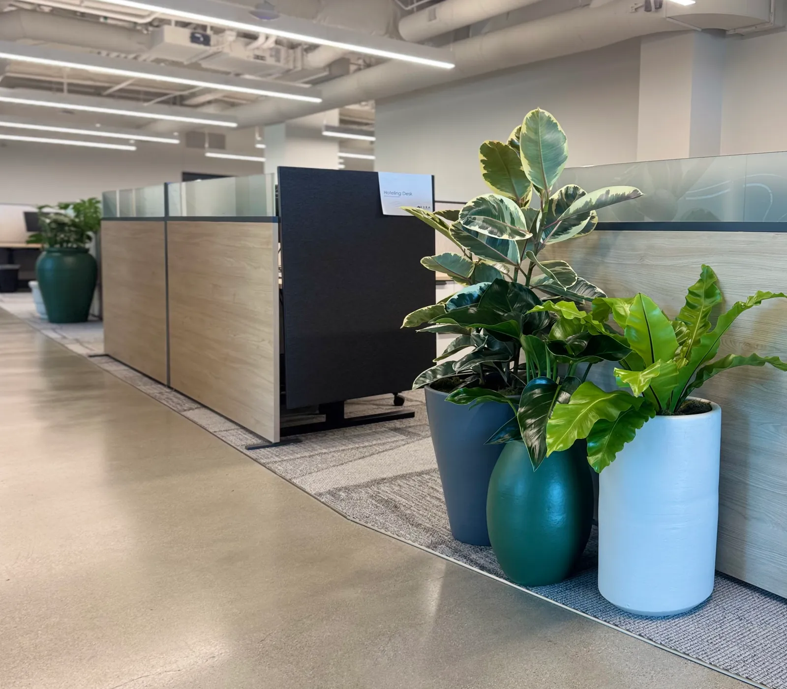 Office floor with planters beside the desks