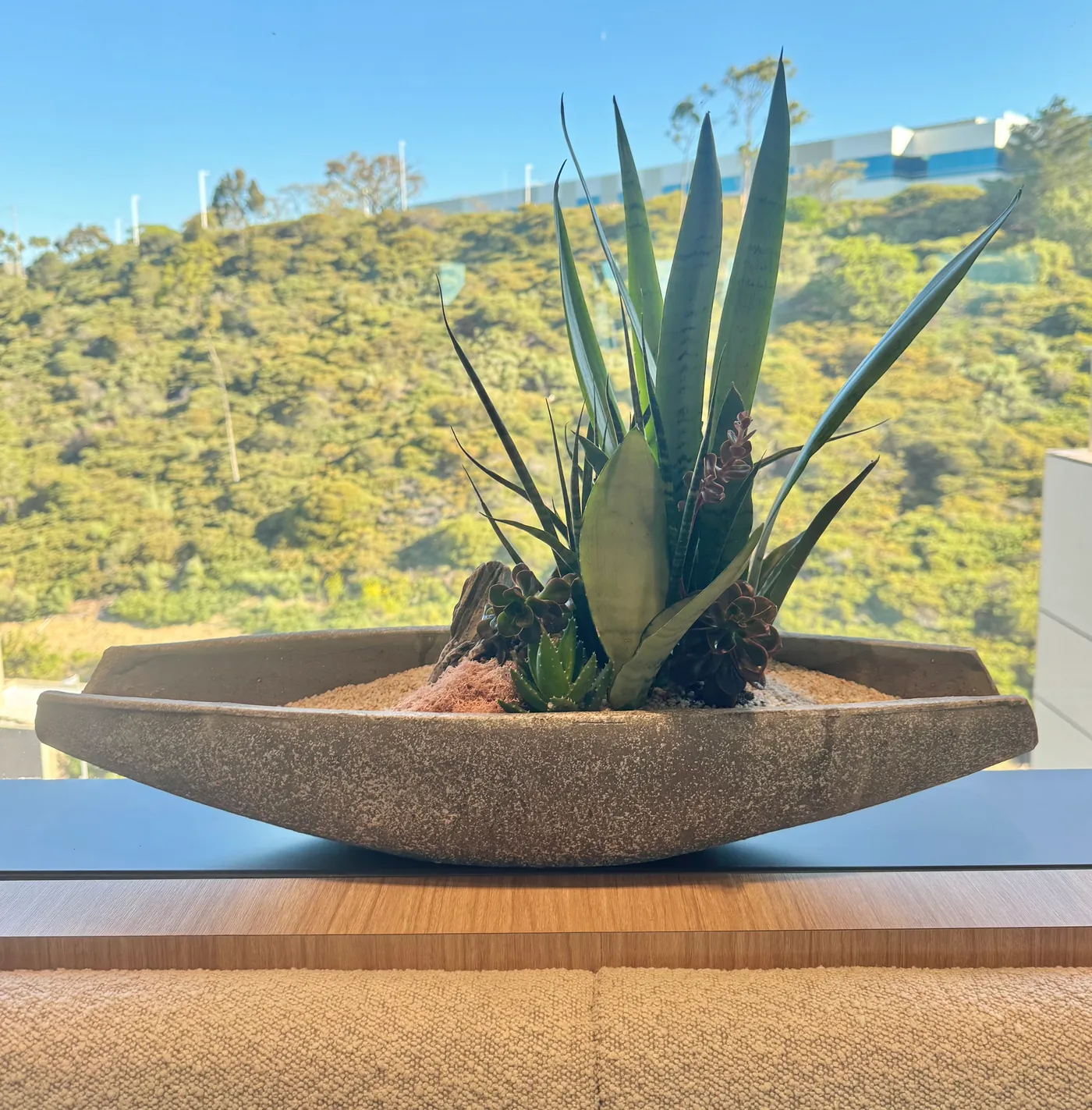 A boat-shaped planter with a canyon view