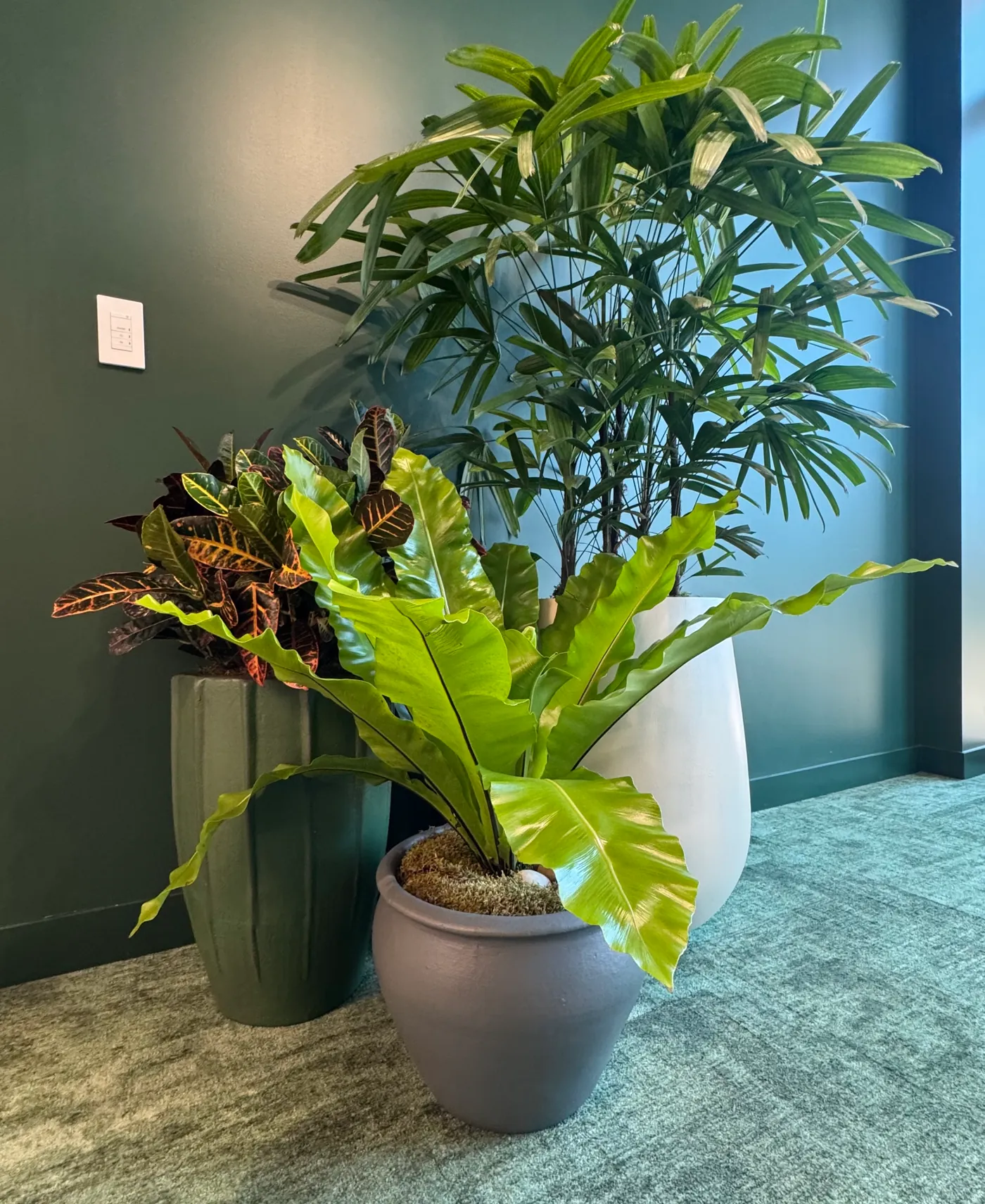 A corner group of floor planters