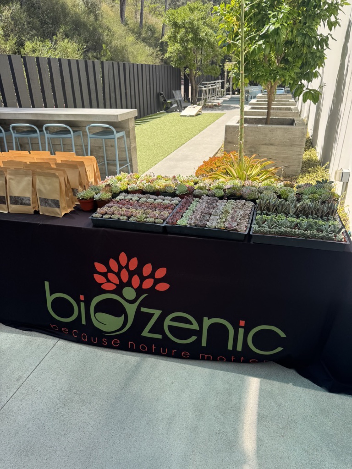 Succulent trays at a Biozenic workshop